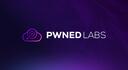 Discovery splash banner for Pwned Labs Discord server