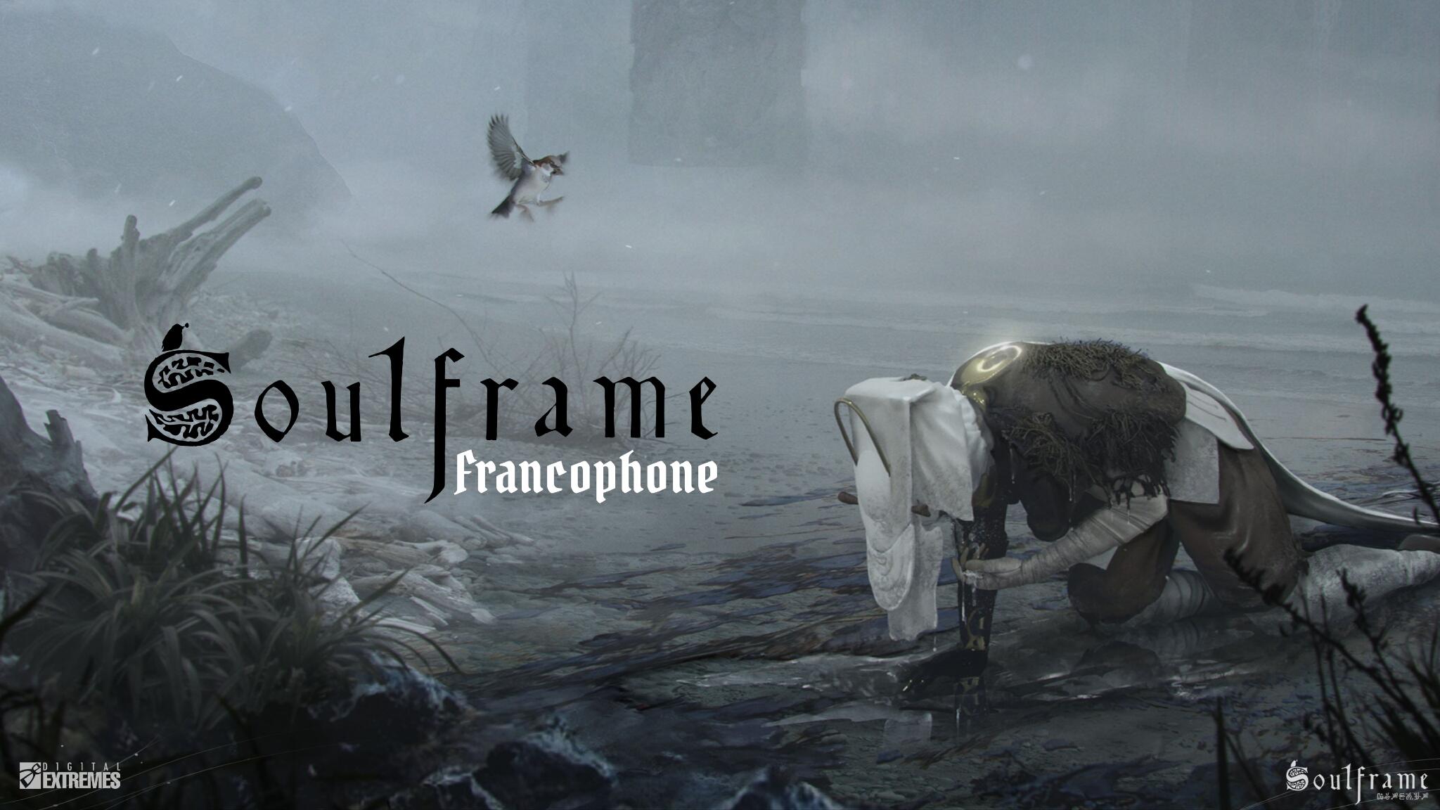 Discovery splash banner for Soulframe FR Discord server