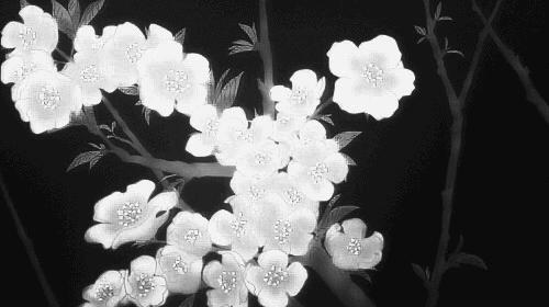 Discovery splash banner for DreamFn Discord server