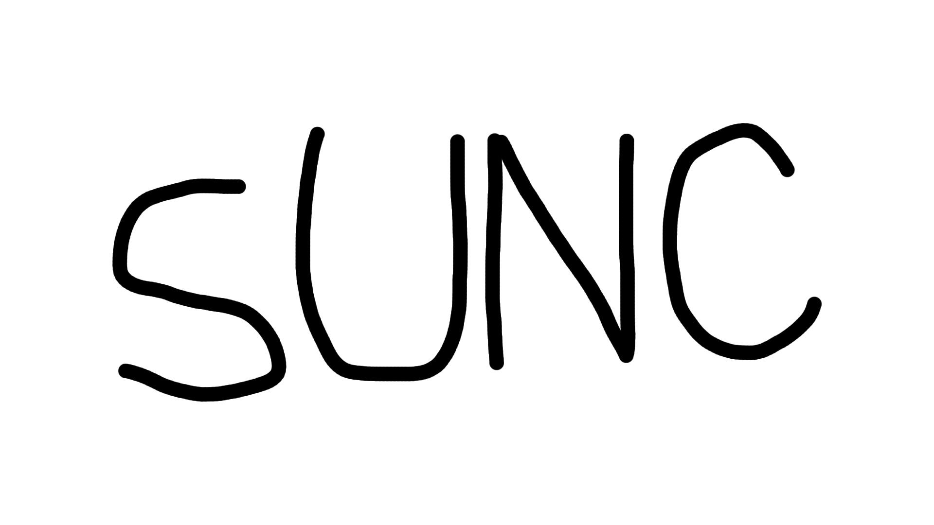 Discovery splash banner for sUNCpita Discord server