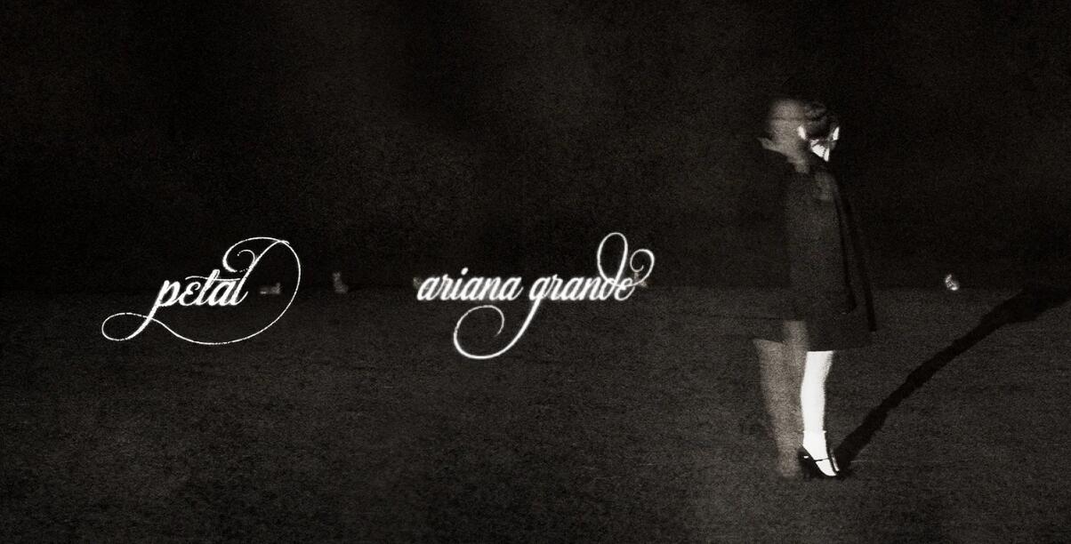 Discovery splash banner for Ariana Grande ݂݂ ۫ ꕤ petal ʚ ᣟ݂♡𓈒 ˚ ₊ Discord server