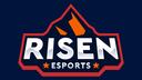 Discovery splash banner for Risen Esports Discord server