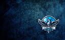 Discovery splash banner for United We Stand Discord server