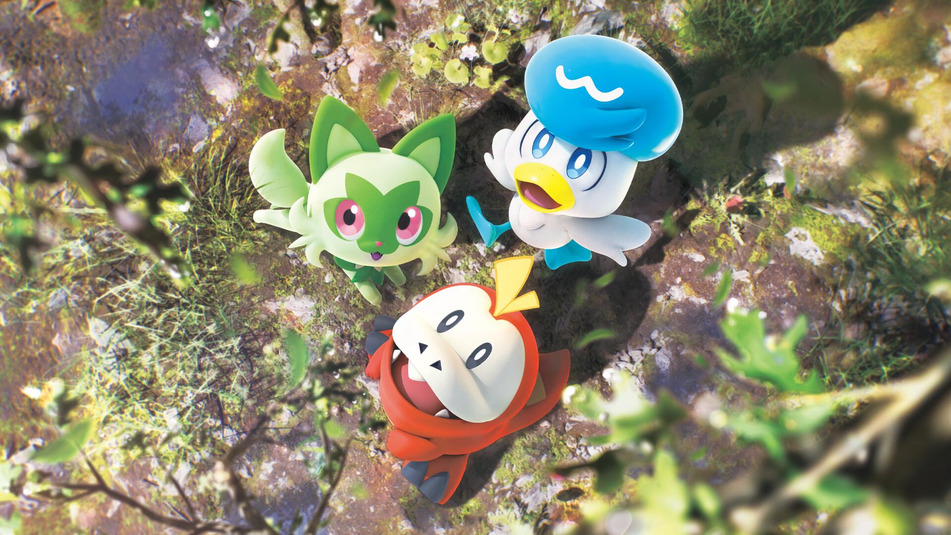Discovery splash banner for Pokébip Discord server