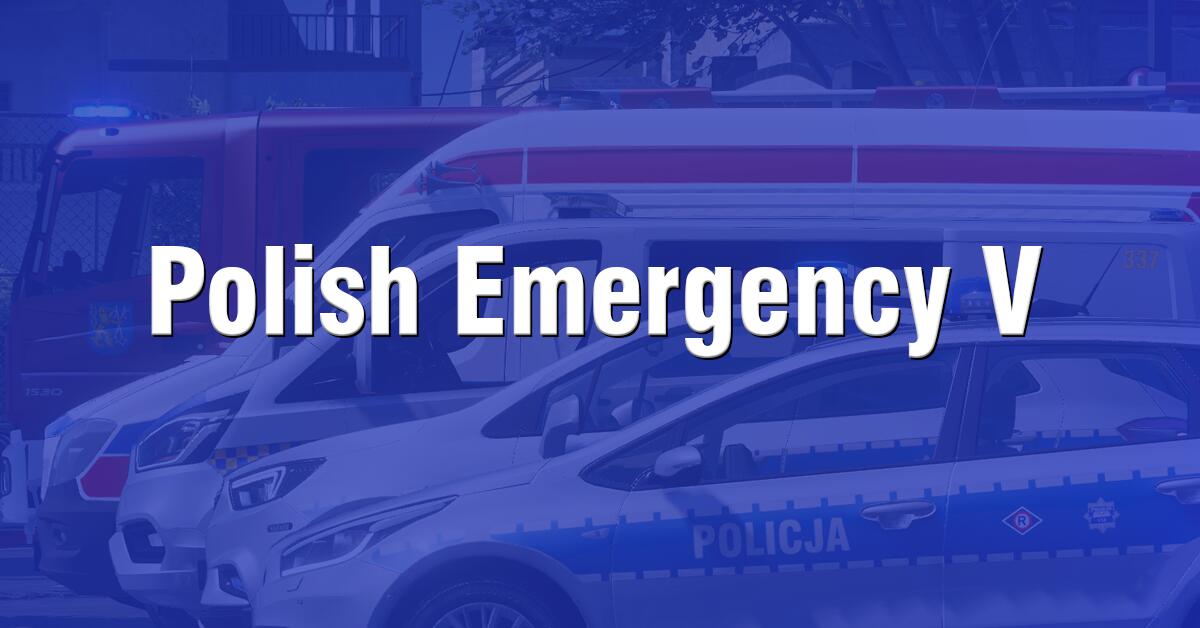 Discovery splash banner for PolishEmergencyV Discord server