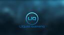 Discovery splash banner for LiQuid Gaming Discord server