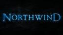 Discovery splash banner for NORTHWIND Discord server