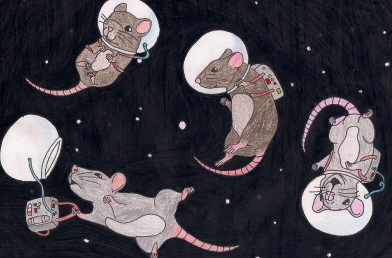 Discovery splash banner for Lost In Space Discord server