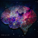 Discovery icon for Psychology Nerds Discord server