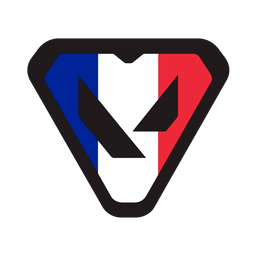 Discovery icon for Valorant Mobile France Discord server