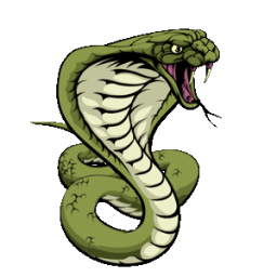 Discovery icon for ChriSnake Discord server